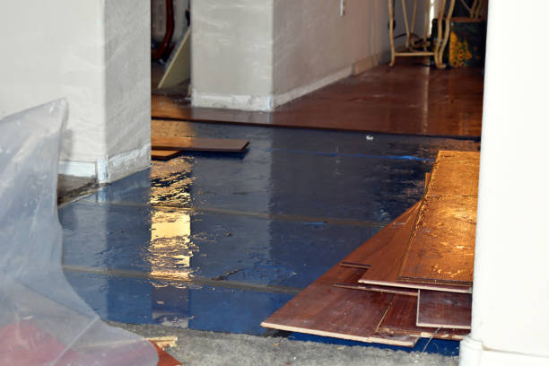 Professional Basement Flood Cleanup technician working in Westbury, NY